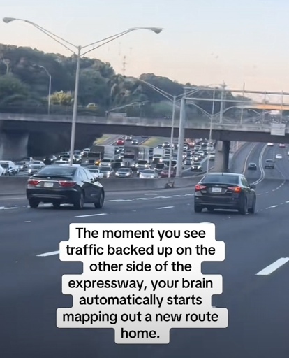 Picture of a freeway with the opposite side backed up with traffic and the caption “The moment you see traffic backed up on the other side of the
expressway, your brain automatically starts mapping out a new route home.”
