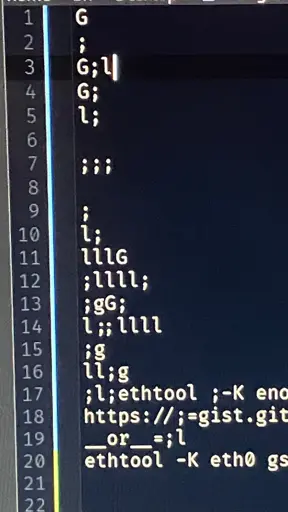 A picture of a text editor, with semicolons, newlines, lowercase L’s, and capital G’s having been entered in the midst of the document.
